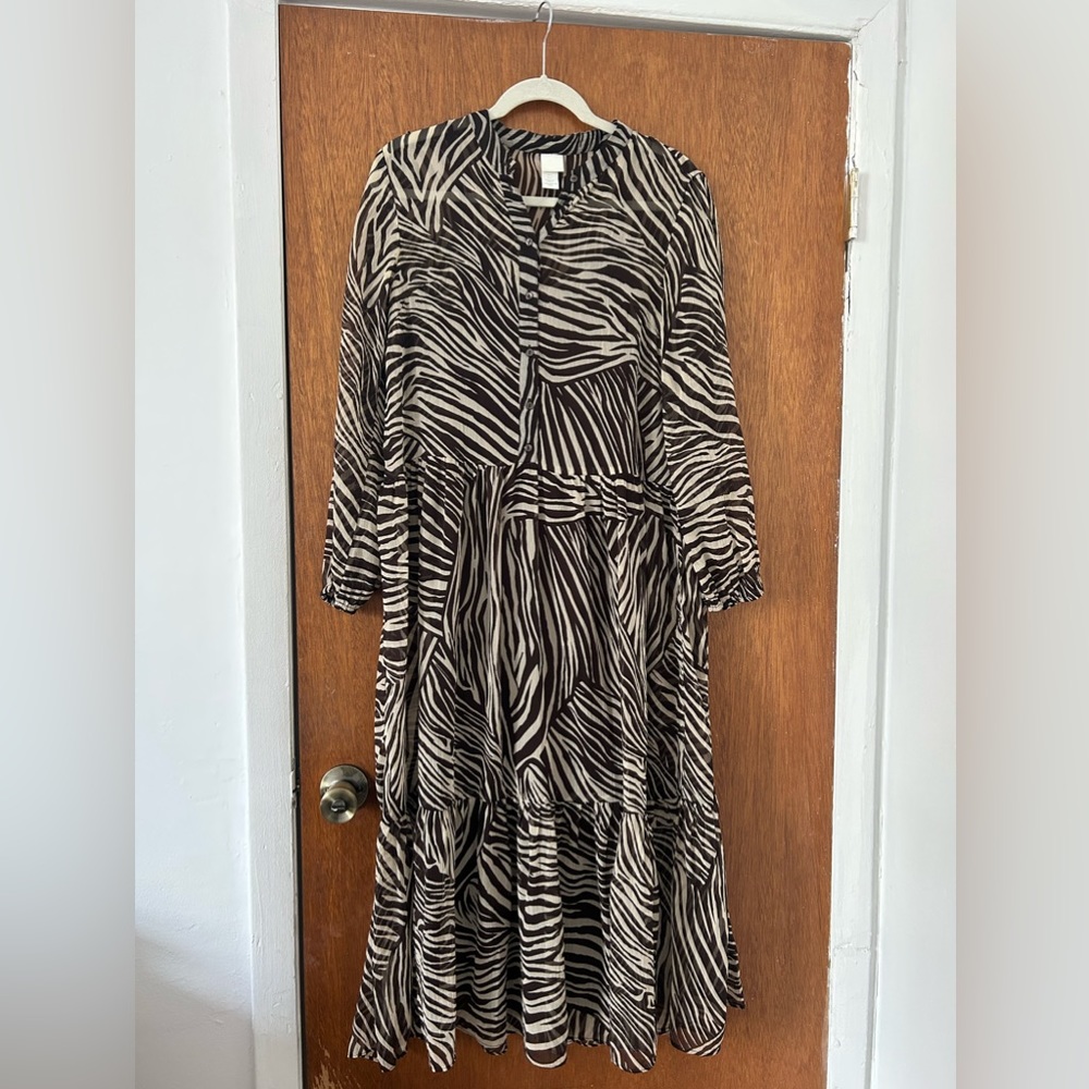 H&M Sheer Zebra Print Dress with Slip